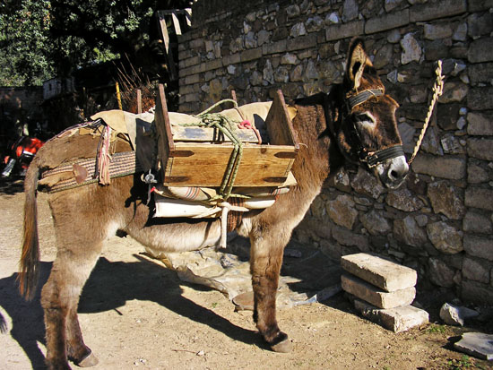 Imagen Casa Nazarí